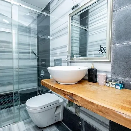 House With 5 Floor And Elevator * Estambul